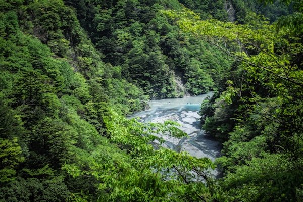 绿源环保公益短剧《地球守护者》 绿源环保公益短剧《地球守护者》 - 黄果漫剧客户案例展示